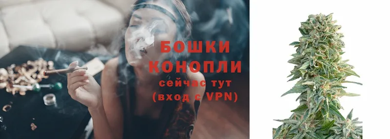 Бошки Шишки White Widow  Вельск 